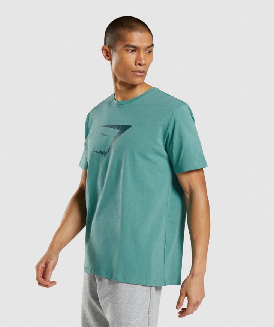 Gymshark Sharkhead Infill Muške T Shirts Tirkizne | HR 2378QMA